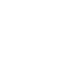 PhoneLab-ico-07-Broken-Charging-Port