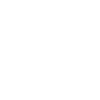 PhoneLab-ico-09-Faulty-home-button